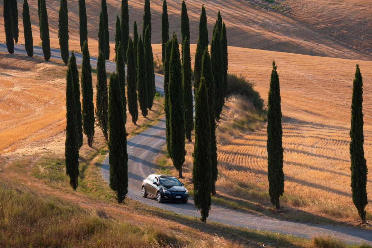 A Tour of Napa Valley's Most Famous Vineyards